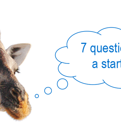 7 questions to a start-up: DXMarkets