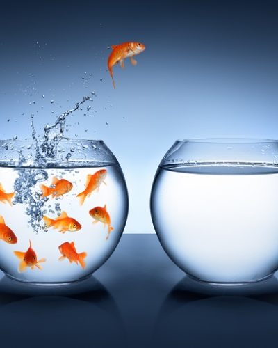 A (deep) contrarian view: Buy the basket of top holdings in US Hedge Funds